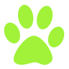 Paw Icon Graphic